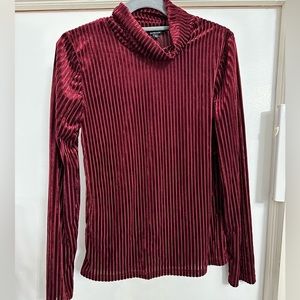 Wine Velvet Ribbed Turtleneck Top